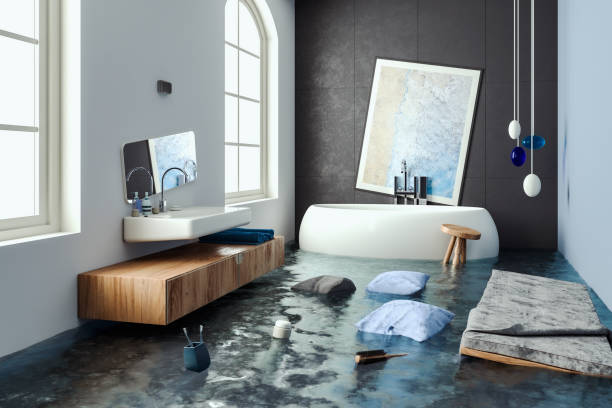 Best Professional water damage repair  in George Mason, VA