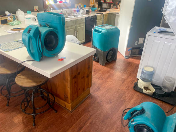 Best Ceiling water damage repair  in George Mason, VA