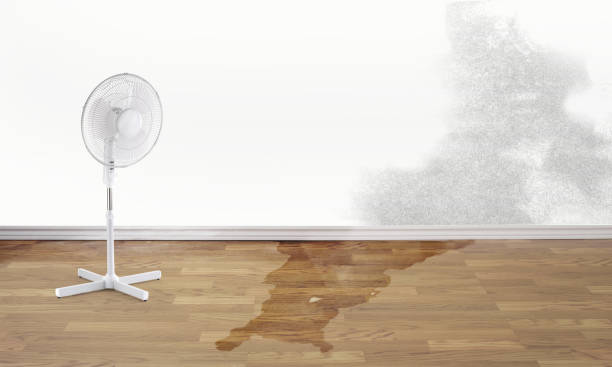 Best Water damage restoration near me  in George Mason, VA