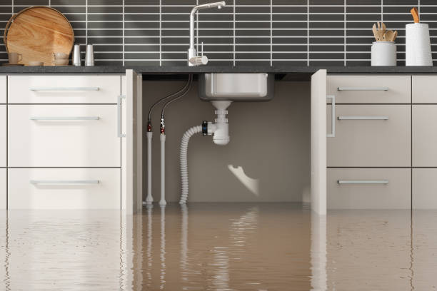 Best Sewage cleanup and water damage restoration  in George Mason, VA