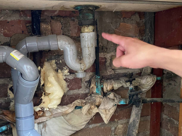 Best Residential water damage restoration  in George Mason, VA